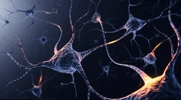 Illustration of interconnected nerve cells
