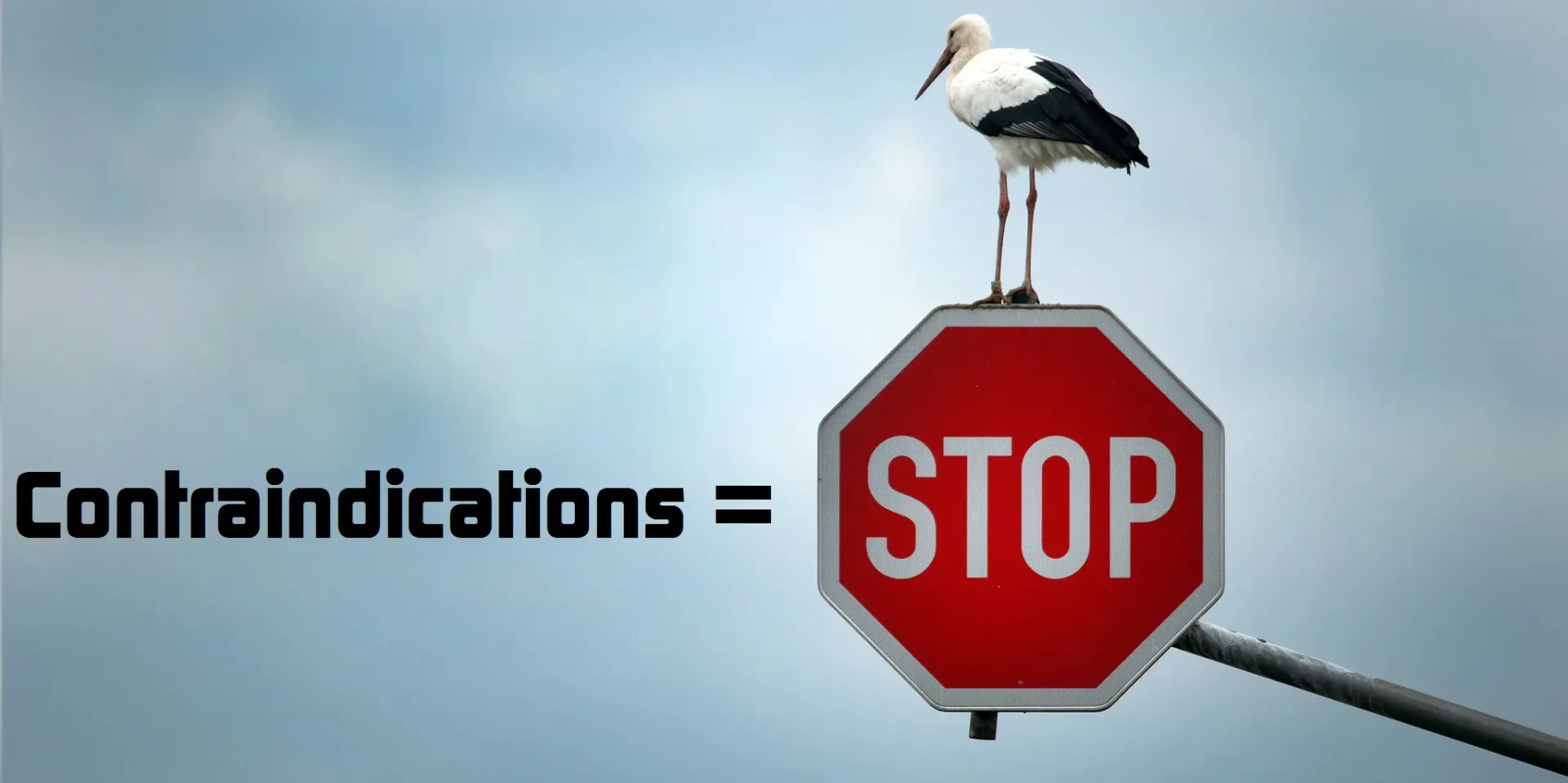 Stop sign beside the word Contraindications