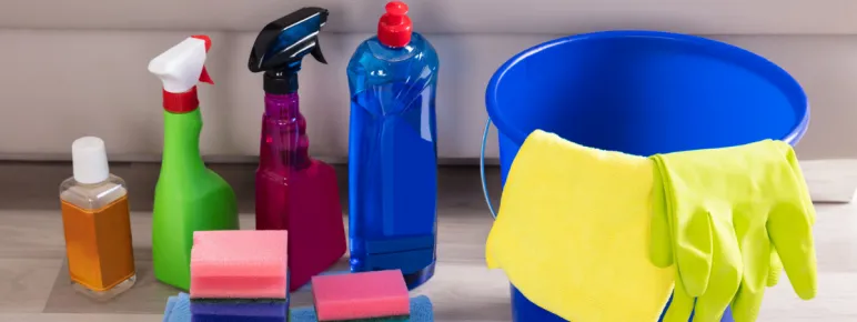 Cleaning sprays, sponges, gloves and a bucket