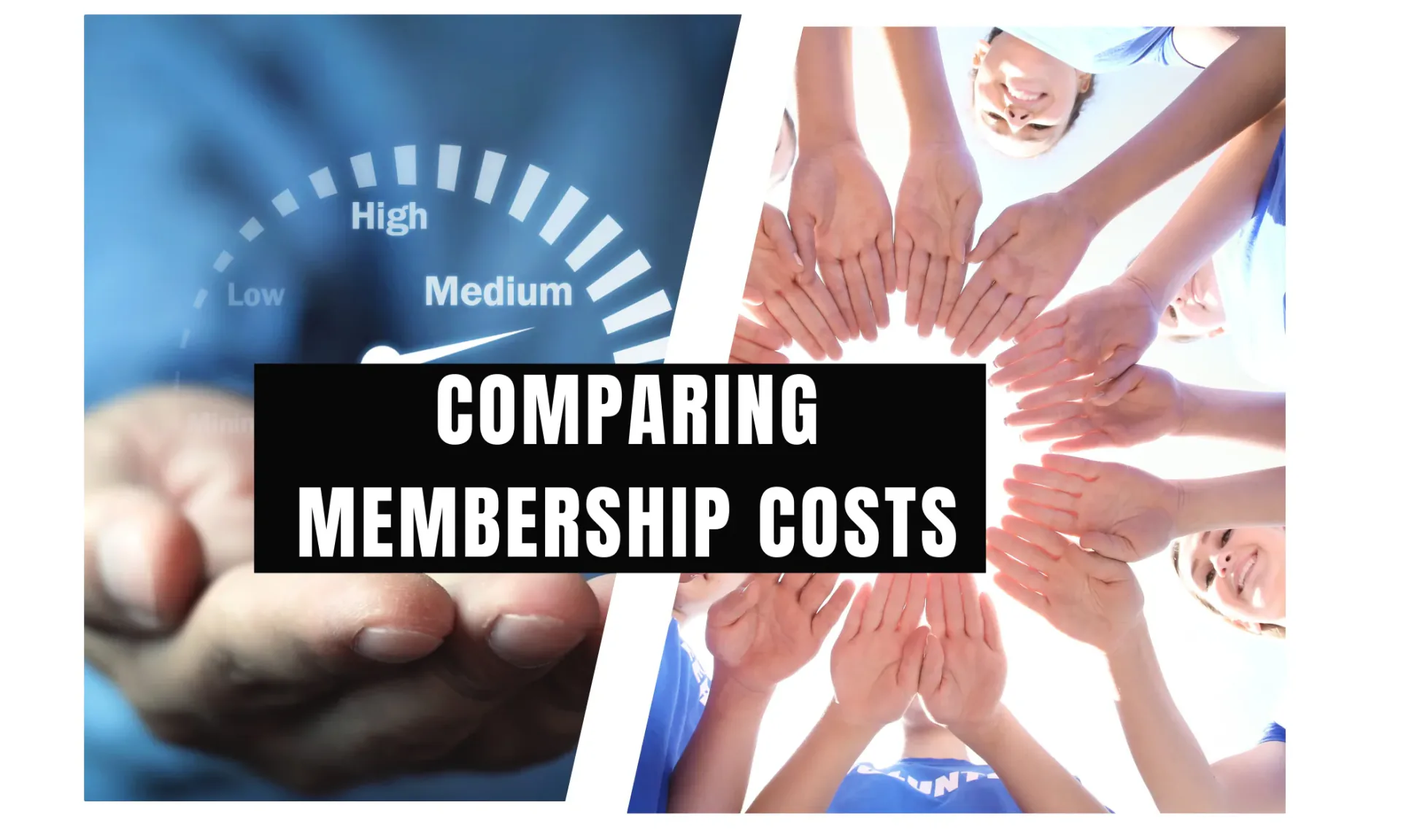 Graphic labelled Comparing Membership Costs