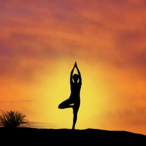 Silhouette of a person holding tree pose at sunset